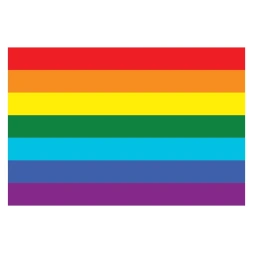 1978 Pride vlag