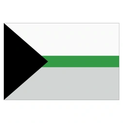 Demiromantic pride vlag sticker