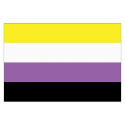 Non-binairy pride vlag sticker